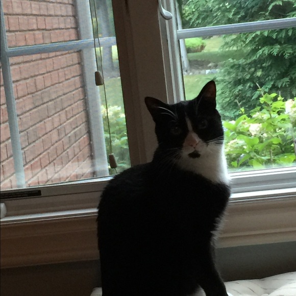 Meet your Posher, Hilary - Picture 1 of 1